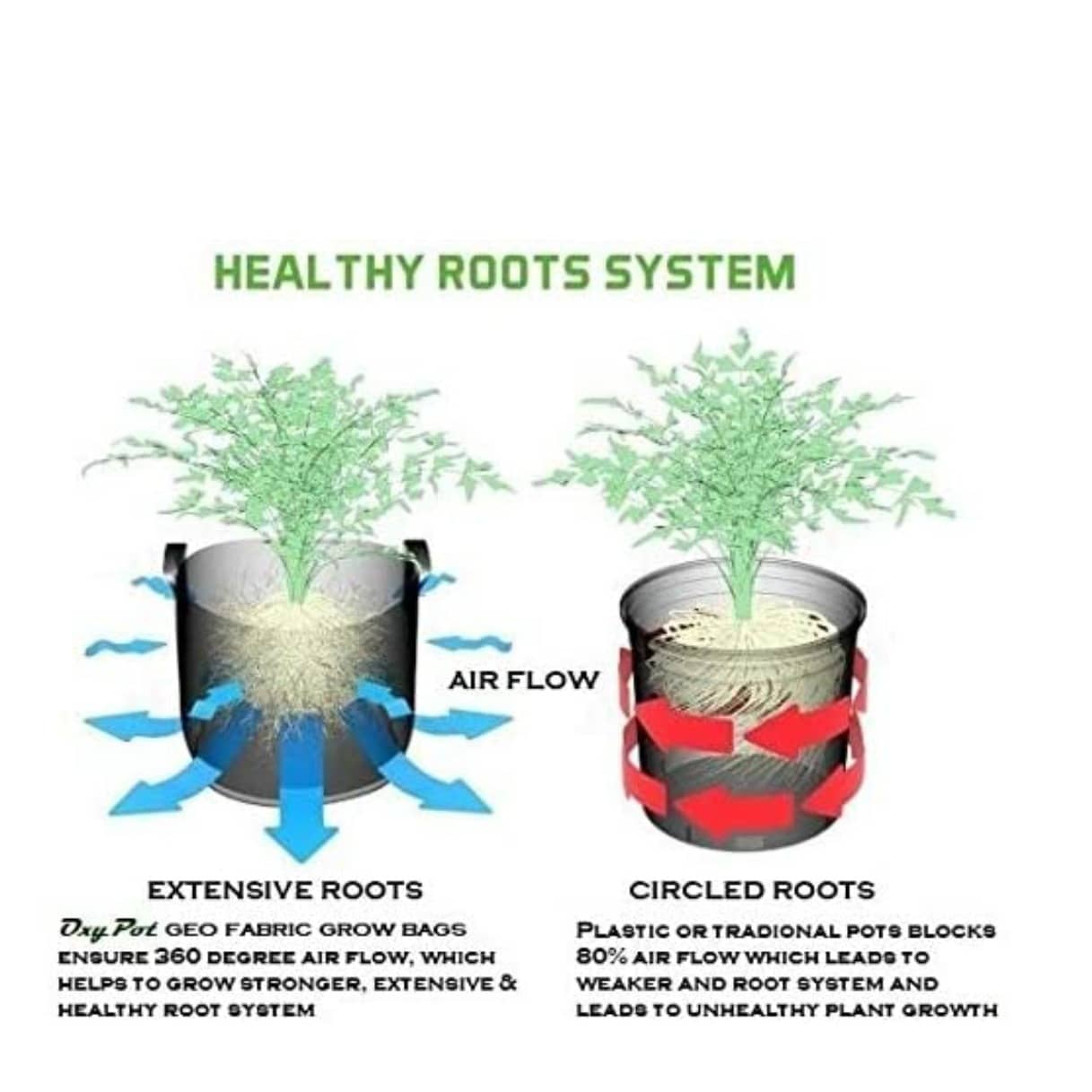 Fabric grow bags Mergenta 10*4( inches) round shape set of 5 bags