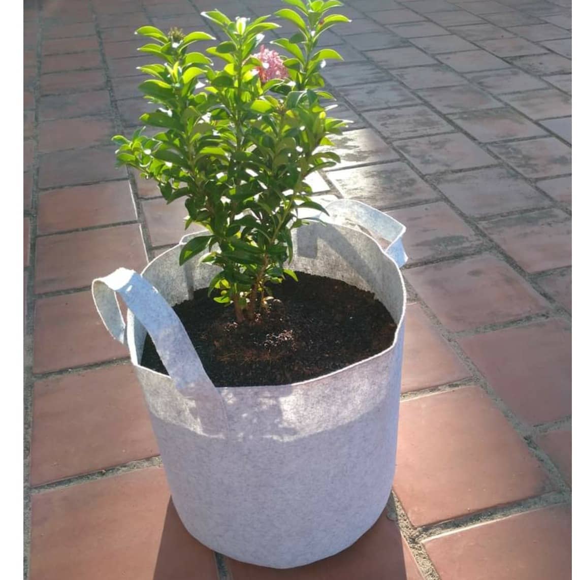 Fabric grow bags 15*15 ( inches) round shape set of 4 bags