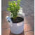 Fabric grow bags 15*15 ( inches) round shape set of 4 bags - top_view