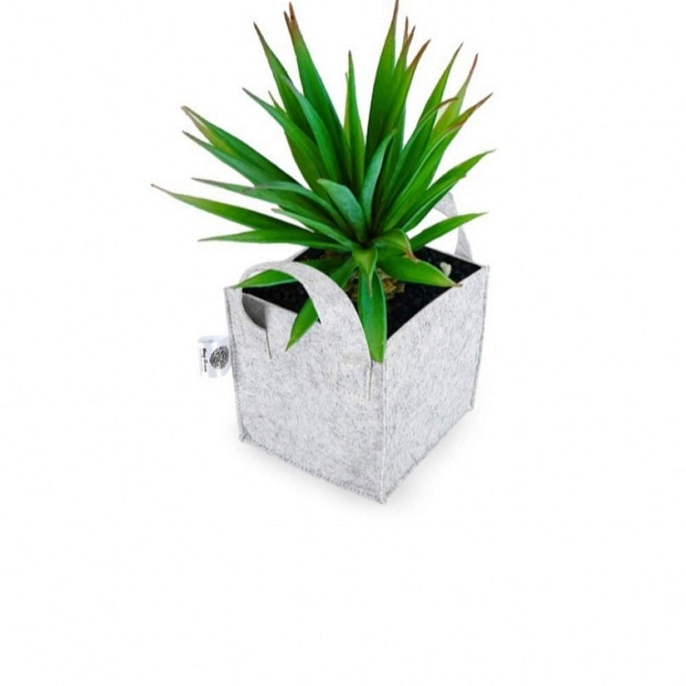 Fabric grow bags with handle square shape set of 5 bags - photo