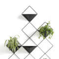 Hanging Planter - photo