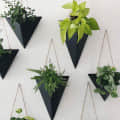 Hanging Planter - front_view