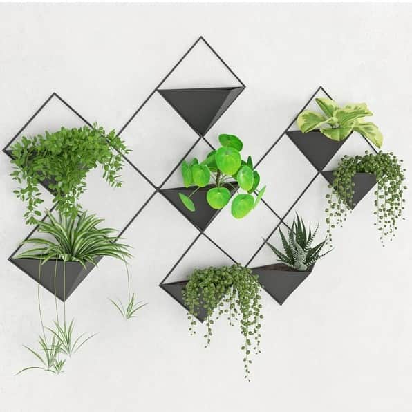 Hanging Planter - top_view