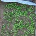 Fabric Grow Bags Light Grey Square Shape - rear_view