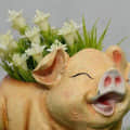 Smiling Pig Flower Pot for Garden, Balcony and Home Decor - top_view