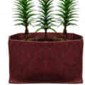 Fabric grow bags square shape set of 3 bags - rear_view