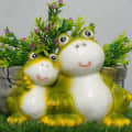 2 FROG 2 POTS - front_view