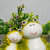 2 FROG 2 POTS - top_view