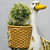 Duck Holding planter - top_view
