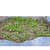 Grow Bag Eco-friendly - front_view
