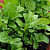 Grow Bag Eco-friendly - top_view