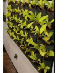 Vertical grow bags - top_view