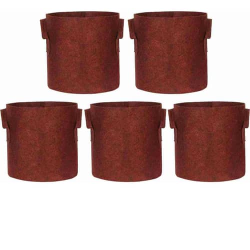 Fabric grow Mergenta  bags round shape set of 5 bags