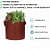 Fabric grow Mergenta  bags round shape set of 5 bags - front_view