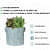 Fabric grow bags round shape set of 5 bags - bottom_view