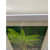 The Banana Tree Wall Painting - top_view