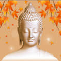 Decorative Wallpaper Buddha Sticker - photo