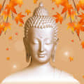 Decorative Wallpaper Buddha Sticker - top_view