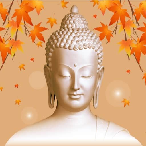 Decorative Wallpaper Buddha Sticker - rear_view