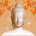 Decorative Wallpaper Buddha Sticker - rear_view