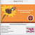 Birla Aerocon Wall Putty-40 kg - left_view