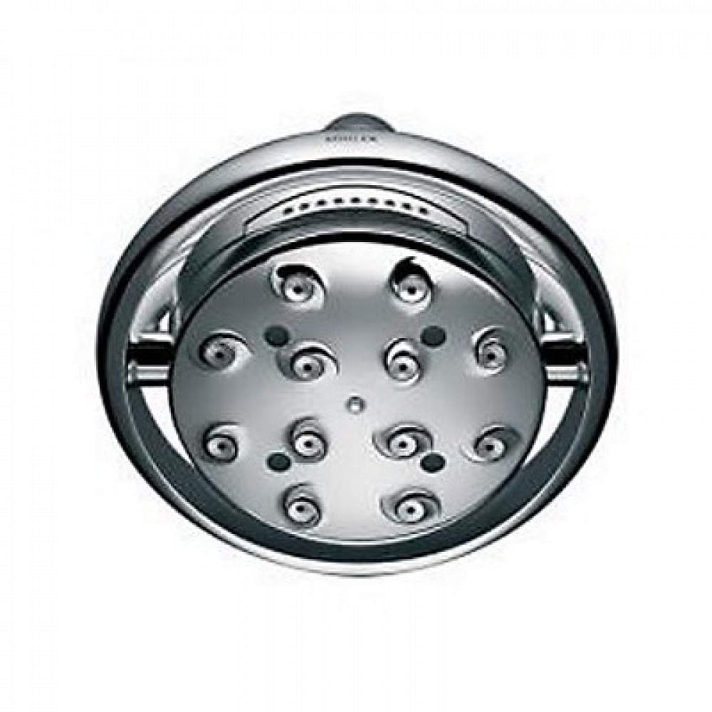 Flip Side Shower Head With Changing Sprays - photo