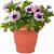 ROUND GARDENING FLOWER POT (PACK OF 10 ) 10 INCHES - front_view