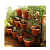 ROUND GARDENING FLOWER POT (PACK OF 10 ) 10 INCHES - top_view