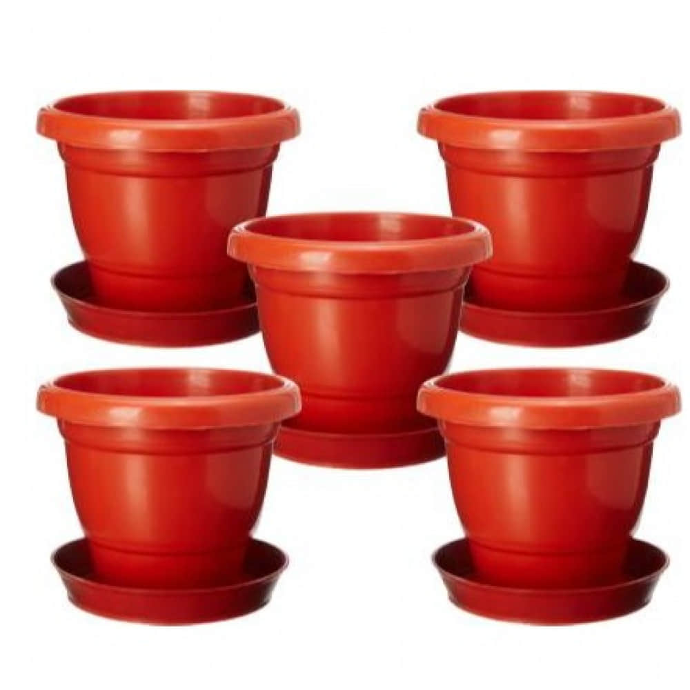 Round Gardening Flower Pots-(Pack of 5 with Tray) 10 inches - photo