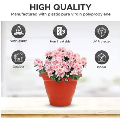 Round Gardening Flower Pots-(Pack of 5 with Tray) 10 inches - rear_view