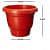 High Quality Gardening Flowering Pots  (Pack of 12 With Bottom Plate/Tray) - front_view