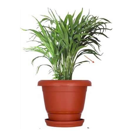 High Quality Gardening Flowering Pots  (Pack of 12 With Bottom Plate/Tray) - bottom_view