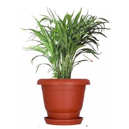 High Quality Gardening Flowering Pots  (Pack of 12 With Bottom Plate/Tray)
