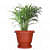 High Quality Gardening Flowering Pots  (Pack of 12 With Bottom Plate/Tray) - bottom_view