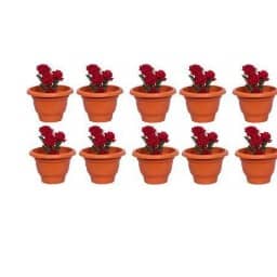 Round Shape Gradening Planters Pots