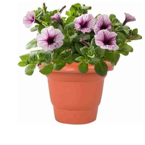 Round Shape Gradening Planters Pots - top_view