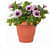 Round Shape Gradening Planters Pots - top_view