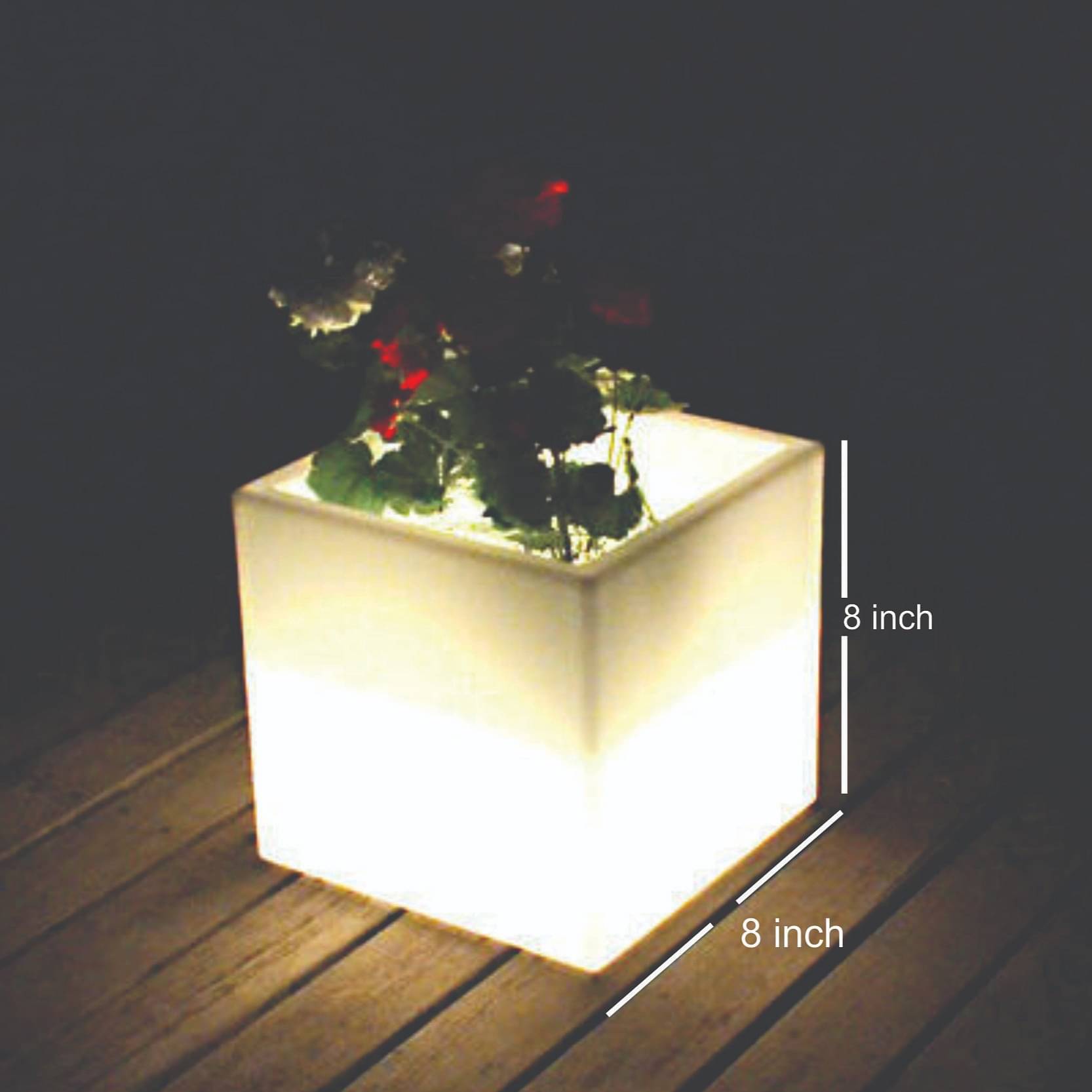 Sunny Pot