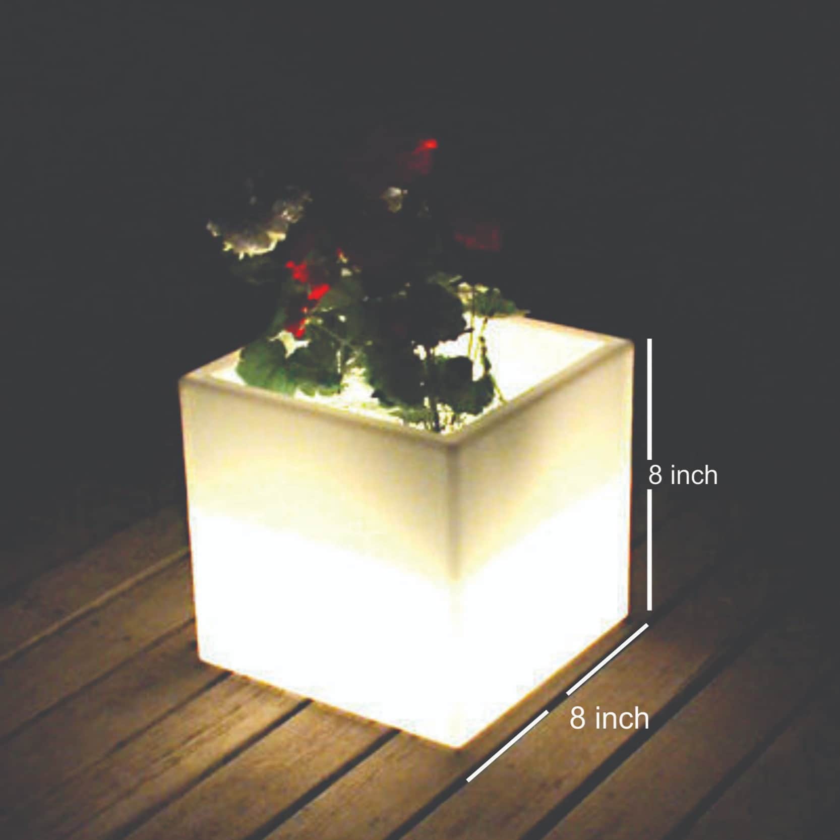 Sunny Pot - front_view