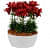 Florida White Ceramic Planter - photo