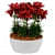 Florida White Ceramic Planter - front_view