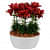 Florida White Ceramic Planter - rear_view