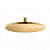 Showerhead, Vibrant Brushed Modern Brass - photo