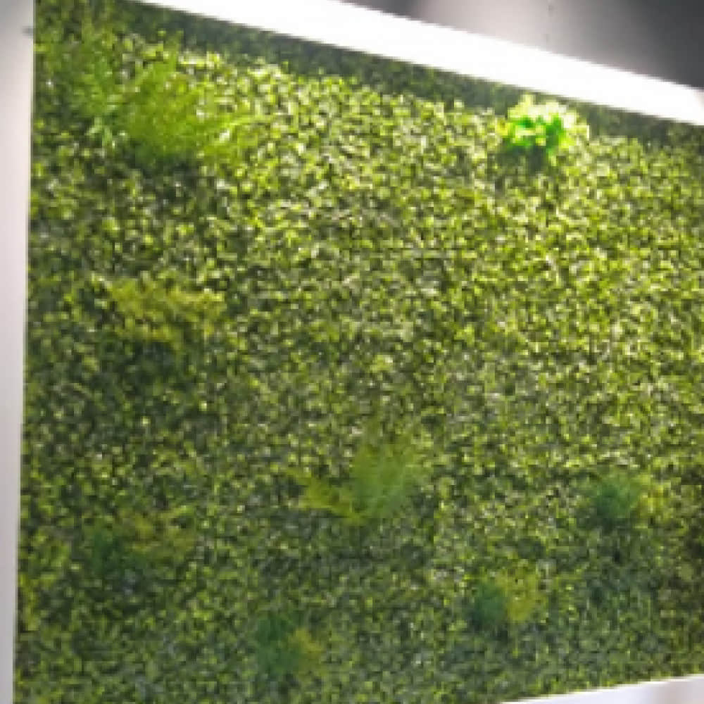 Artificial Wall Gardens - photo