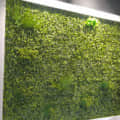 Artificial Wall Gardens - rear_view