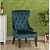 Elice Wing Chair In Solid Colour - photo