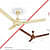 CEILING FAN - front_view