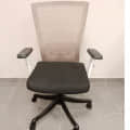 Jazz Medium Back Office chair - rear_view