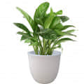 PCUP 15'' White FRP Planter - front_view