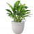 PCUP 15'' White FRP Planter - rear_view